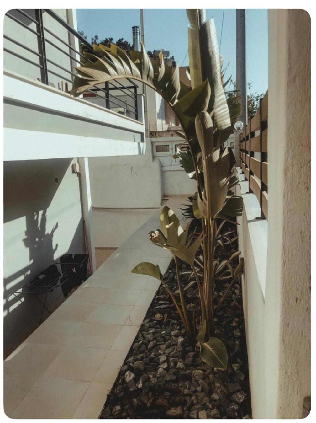 Rosemary Modern House In The City Center Corinth Экстерьер фото